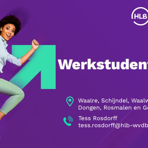 2. Werkstudentschap Auditpraktijk (1)