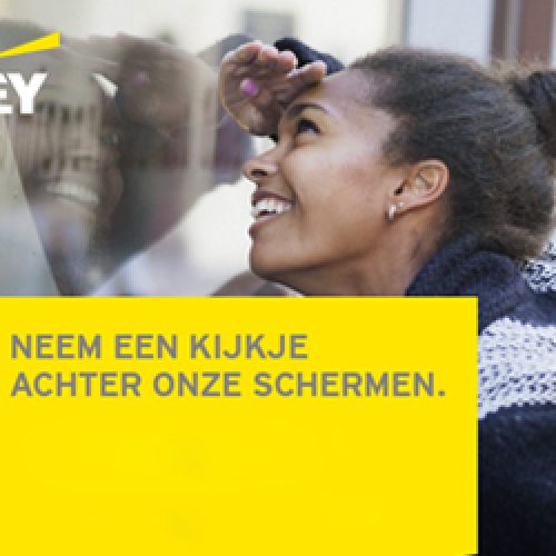 2015.06 EY