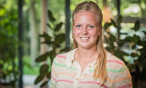 Working at – Wesselman