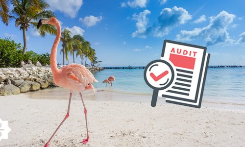 Auditing in the Caribbean: An opportunity of a lifetime