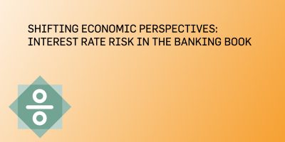 Shifting Economical Perspectives: Interest Rate Risk in the Banking Book