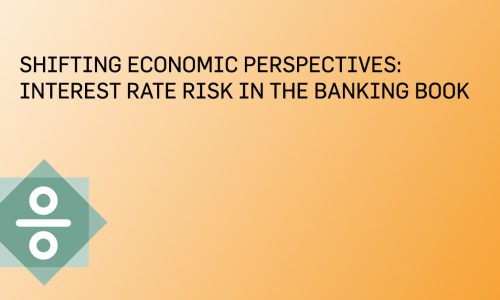 Shifting Economical Perspectives: Interest Rate Risk in the Banking Book