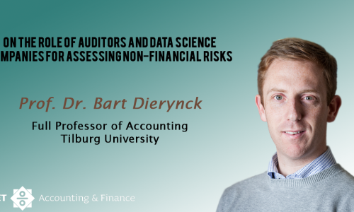 On the role of auditors and data science companies for assessing non-financial risks