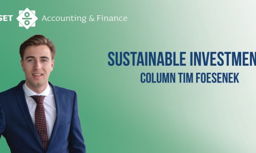 Sustainable Investments – A column by Tim Foesenek
