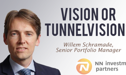 Vision or Tunnel Vision?