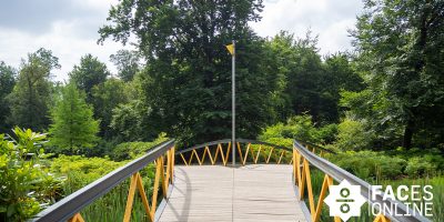 Choosing a Minor during the Bachelor Business Administration & IBA