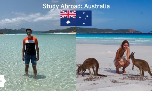 Studying in Australia: the country to put on your bucket list!