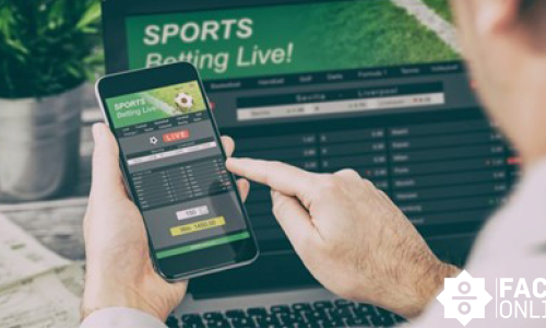 Explore the lucrative world of sports betting: Why it’s more than just a gamble