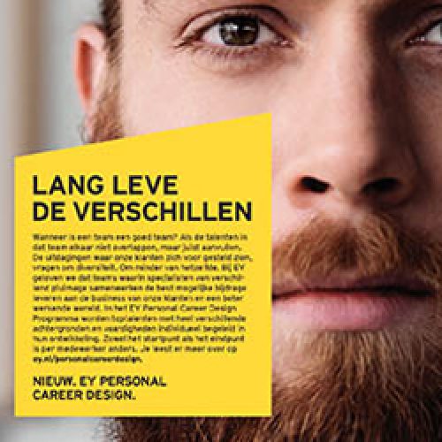 EY advertentie 2