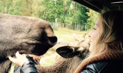 Sweden, a country to fall in love with