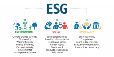 ESG ratings: waardevol of onbetrouwbaar?