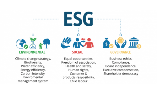 ESG Ratings: valuable or untrustworthy?