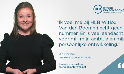 Working at HLB Witlox van den Boomen